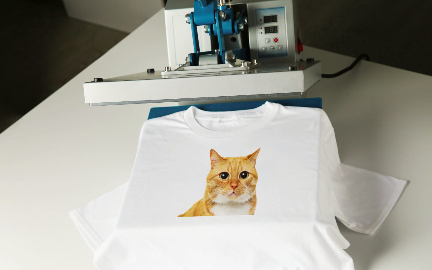 Tシャツ